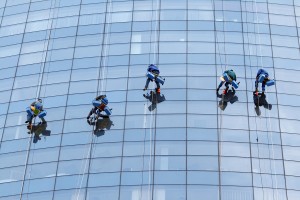 Five workers washing windows in the office building